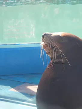 ゼロ距離水族館 伊勢シーパラダイスに投稿された画像（2026/3/15）