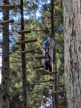 Sport & Do Resort リソルの森　フォレストアドベンチャー・ターザニアに投稿された画像（2026/3/15）