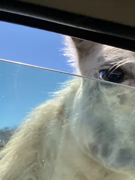 東北サファリパークに投稿された画像（2026/3/15）