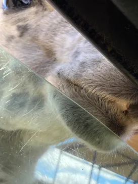 東北サファリパークに投稿された画像（2026/3/15）