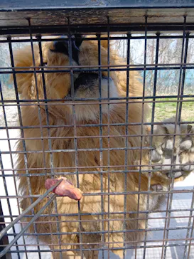 那須サファリパークに投稿された画像（2026/3/15）