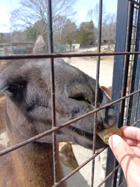 那須サファリパークに投稿された画像（2026/3/15）