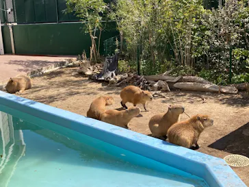 竹島水族館に投稿された画像（2026/3/15）