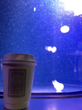 マリンワールド海の中道に投稿された画像（2026/3/15）