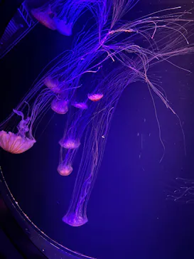 マリンワールド海の中道に投稿された画像（2026/3/15）