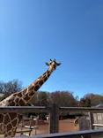多摩動物公園に投稿された画像（2026/3/15）
