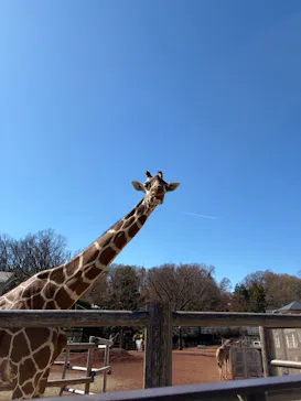 多摩動物公園に投稿された画像（2026/3/15）
