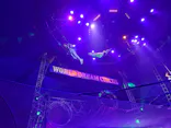 ワールドドリームサーカス橿原公演に投稿された画像（2026/3/15）