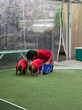 おさるランド＆アニタウン　日光さる軍団劇場に投稿された画像（2026/3/15）