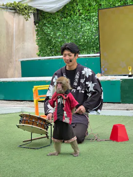 おさるランド＆アニタウン　日光さる軍団劇場に投稿された画像（2026/3/15）