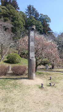 偕楽園本園に投稿された画像（2026/3/15）