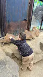 伊豆シャボテン動物公園に投稿された画像（2026/3/15）
