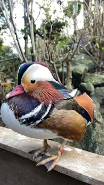 伊豆シャボテン動物公園に投稿された画像（2026/3/15）