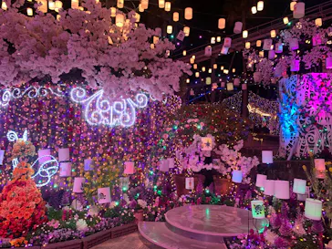 ひらかたパークに投稿された画像（2026/3/15）