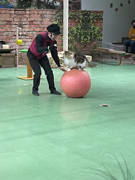 那須どうぶつ王国に投稿された画像（2026/3/15）