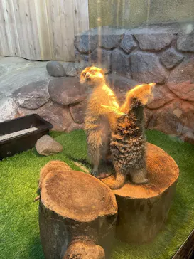 那須どうぶつ王国に投稿された画像（2026/3/15）