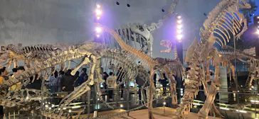 福井県立恐竜博物館に投稿された画像（2026/3/15）