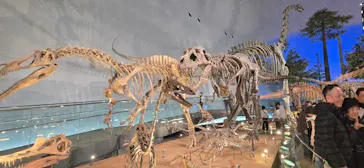 福井県立恐竜博物館に投稿された画像（2026/3/15）