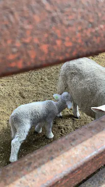 マザー牧場に投稿された画像（2026/3/15）