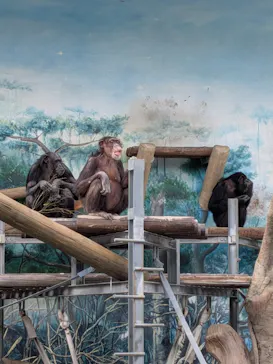 天王寺動物園に投稿された画像（2026/3/15）