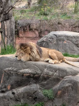 天王寺動物園に投稿された画像（2026/3/15）