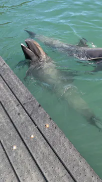太地町立くじらの博物館に投稿された画像（2026/3/15）