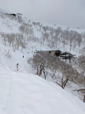 星野リゾート　トマムスキー場に投稿された画像（2026/3/15）