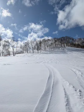 星野リゾート　トマムスキー場に投稿された画像（2026/3/15）
