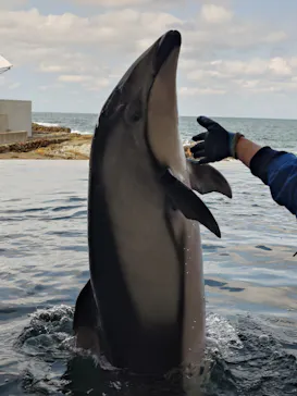 城崎マリンワールドに投稿された画像（2026/3/15）