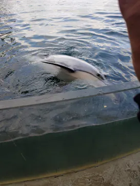 城崎マリンワールドに投稿された画像（2026/3/15）