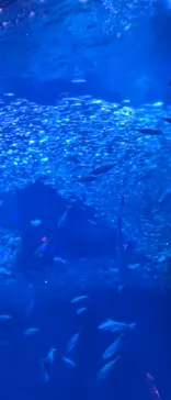 アクアワールド茨城県大洗水族館に投稿された画像（2026/3/15）