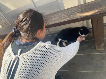 熱田農園Strawberry54に投稿された画像（2026/3/15）