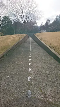 彫刻の森美術館に投稿された画像（2026/3/15）