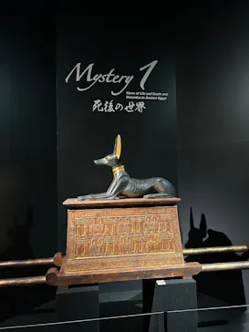 MYSTERY OF TUTANKHAMEN 体感型古代エジプト展に投稿された画像（2026/3/15）