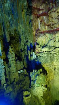 あぶくま洞に投稿された画像（2026/3/15）