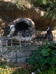 サンシャイン水族館に投稿された画像（2026/3/15）