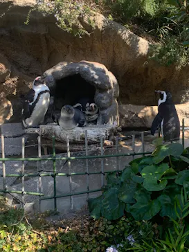 サンシャイン水族館に投稿された画像（2026/3/15）