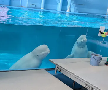 横浜・八景島シーパラダイスに投稿された画像（2026/3/15）