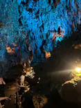 CAVE OKINAWAに投稿された画像（2026/3/15）