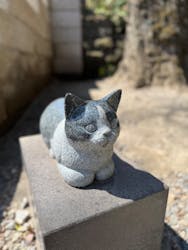 仙巌園に投稿された画像（2026/3/15）