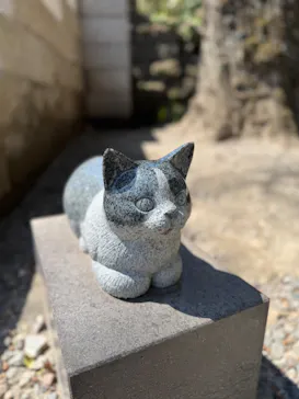 仙巌園に投稿された画像（2026/3/15）