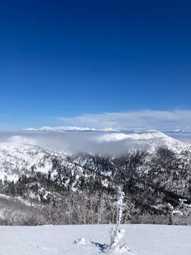 星野リゾート　トマムスキー場に投稿された画像（2026/3/15）