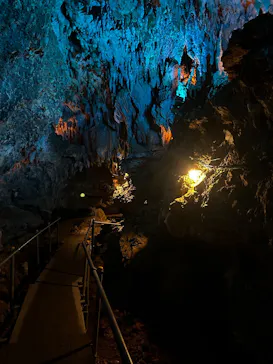 CAVE OKINAWAに投稿された画像（2026/3/15）