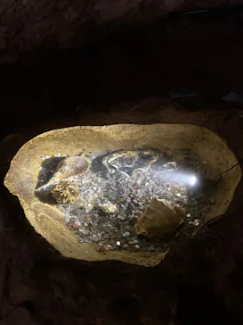 CAVE OKINAWAに投稿された画像（2026/3/15）