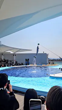 四国水族館に投稿された画像（2026/3/15）