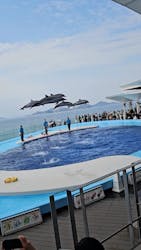 四国水族館に投稿された画像（2026/3/15）