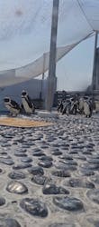 四国水族館に投稿された画像（2026/3/15）