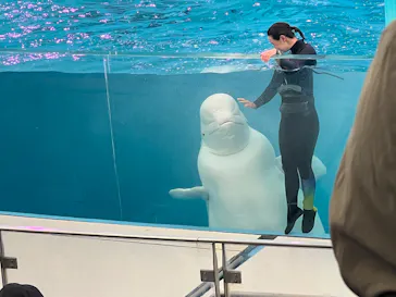 横浜・八景島シーパラダイスに投稿された画像（2026/3/15）