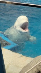 名古屋港水族館に投稿された画像（2026/3/15）