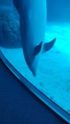名古屋港水族館に投稿された画像（2026/3/15）
